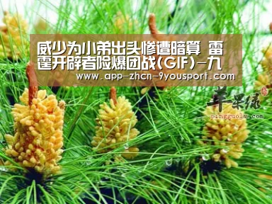 威少为小弟出头惨遭暗算 雷霆开辟者险爆团战(GIF)-九游体育(图1) 九游体育